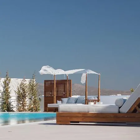 18 Grapes 아기오스프로코피오스