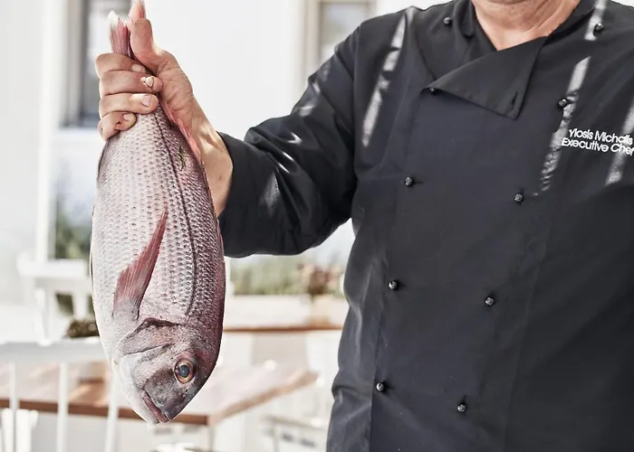 18 Grapes 酒店 阿吉奥斯普罗科皮奥斯